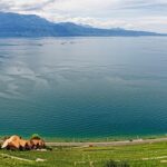 geneva, nature, lake, switzerland, lake geneva, water, mood, sightseeing